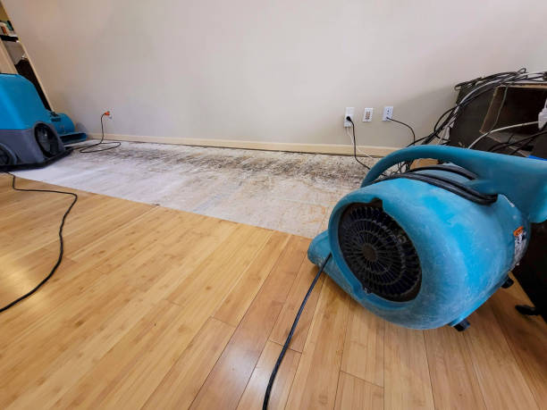 Professional Sewage Cleanup technician working in Burlington, NJ